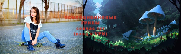 не бодяженный Алексин