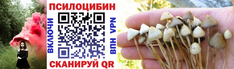 Псилоцибиновые грибы Psilocybine cubensis  Сельцо 