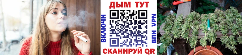 где найти   Сельцо  Марихуана OG Kush 